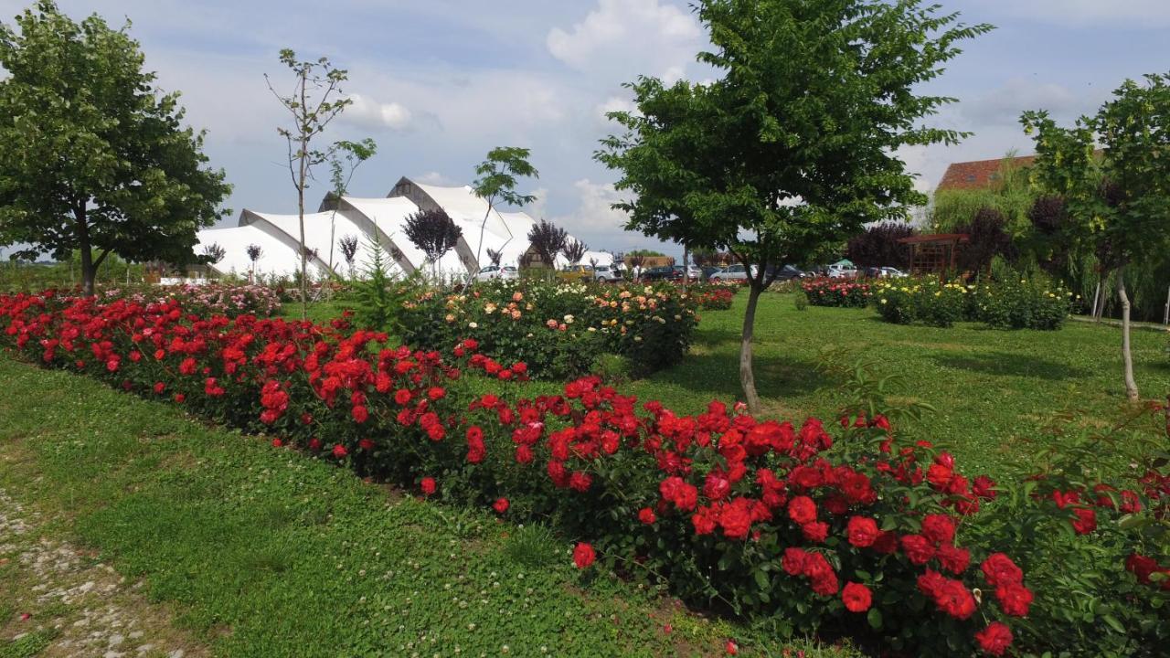 Hanul Moara Cu Noroc Ineu  Exterior foto